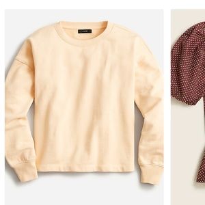J Crew Sweatshirt